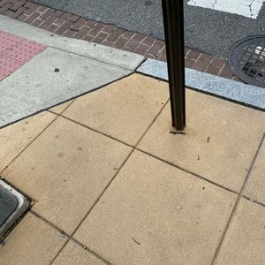 Meet your Posher, Bob